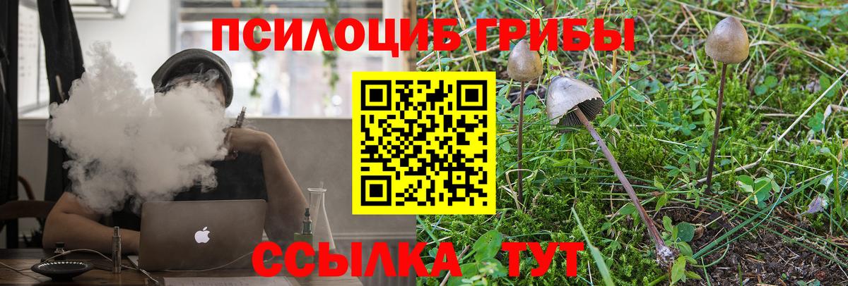 Галлюциногенные грибы Magic Shrooms Серов