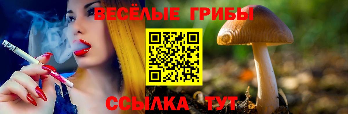 Галлюциногенные грибы ЛСД  Вход с VPN  Серов 